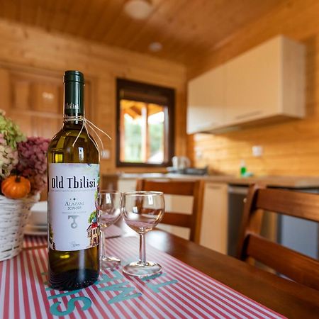 Domki Rys Villa Bobolin Dış mekan fotoğraf